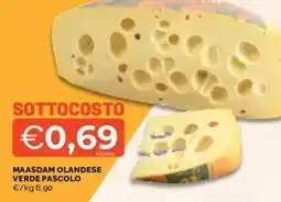 Mercatò Maasdam olandese verde pascolo offerta