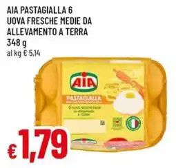 A&O Aia pastagialla 6 uova fresche medie da allevamento a terra offerta
