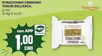 Pam Stracchino cremoso TESORI DELL'ARCA offerta