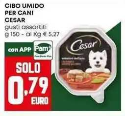 Pam Cibo umido per cani CESAR offerta