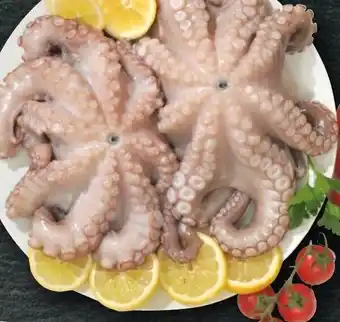 Bennet Polpo arricciato offerta