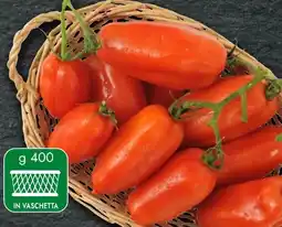 Bennet Pomodoro oblungo rosso offerta
