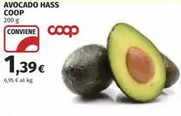 Coop Superstore Avocado hass COOP offerta