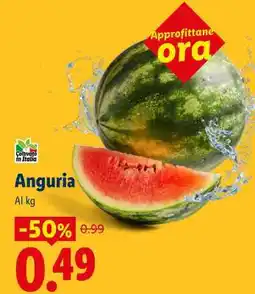 Lidl Anguria offerta
