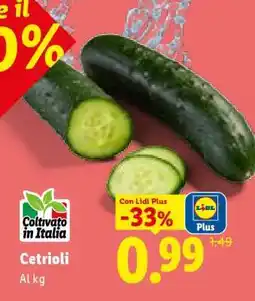 Lidl Cetrioli offerta