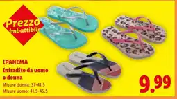 Lidl IPANEMA Infradito da uomo o donna offerta