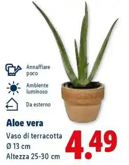Lidl Aloe Vera offerta