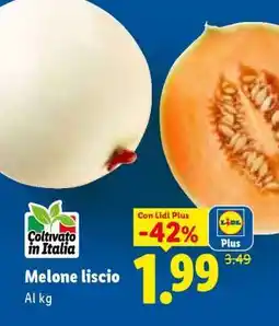 Lidl Melone Liscio offerta