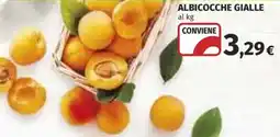 Coop Superstore Albicocche gialle offerta