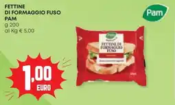 Panorama Fettine di formaggio fuso PAM offerta