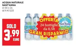 Panorama Acqua naturale SANT'ANNA offerta