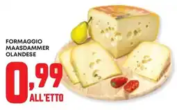 Panorama Formaggio maasdammer olandese offerta