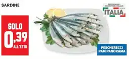 Panorama Sardine offerta