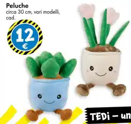 Tedi Peluche offerta