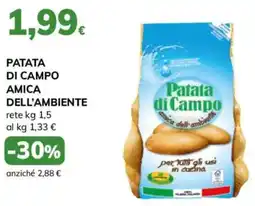 Basko Patata di campo amica dell'ambiente offerta