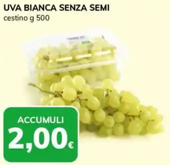 Basko Uva bianca senza semi offerta