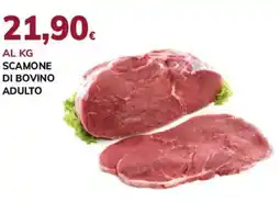 Basko Scamone di bovino adulto offerta