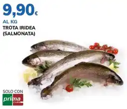 Basko Trota iridea (salmonata) offerta