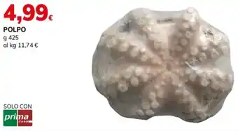 Basko Polpo offerta