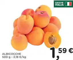 Orvea Albicocche offerta