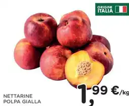 Orvea Nettarine polpa gialla offerta