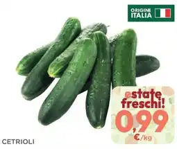 Orvea Cetrioli offerta