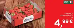 Orvea Fragole SANT'ORSOLA offerta