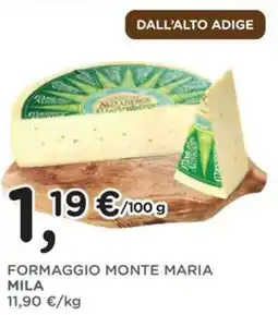 Orvea Formaggio monte maria MILA offerta