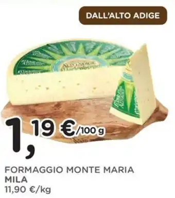 Orvea Formaggio monte maria MILA offerta