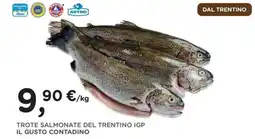 Orvea Trote salmonate del trentino igp il gusto contadino offerta