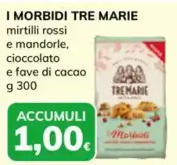Basko I morbidi tre marie mirtilli rossi e mandorle, cioccolato e fave di cacao offerta