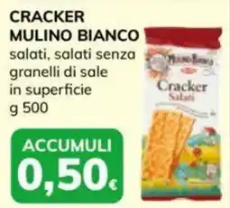 Basko Cracker mulino bianco salati, salati senza granelli di sale in superficie offerta