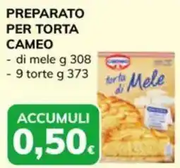 Basko Preparato per torta CAMEO offerta