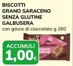 Basko Biscotti grano saraceno senza glutine GALBUSERA offerta