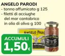Basko ANGELO PARODI tonno affumicato, filetti di acciughe del mar cantabrico in olio di oliva offerta