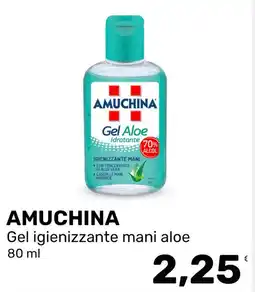 Iper Tosano AMUCHINA Gel igienizzante mani aloe offerta