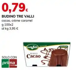 Basko Budino tre valli cacao, crème caramel offerta