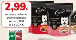 Basko Cesar manzo e pollame, pollo e salmone secco offerta