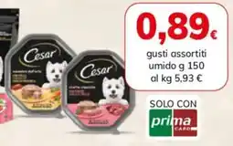 Basko Cesar offerta