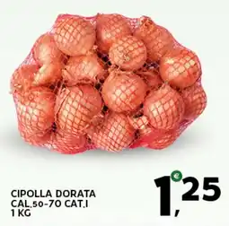 Extra Supermercati Cipolla dorata offerta