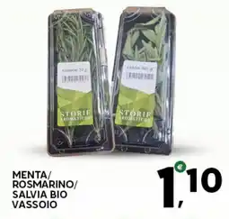 Extra Supermercati Menta/ rosmarino/ salvia bio vassoio offerta