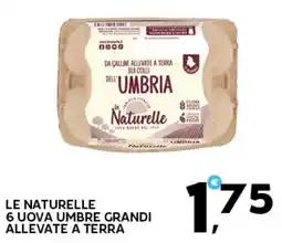 Extra Supermercati Le naturelle 6 uova umbre grandi allevate a terra offerta