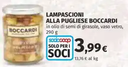 Coop Superstore Lampascioni alla pugliese BOCCARDI offerta
