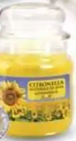 Coop Superstore Giara media CITRONELLA offerta