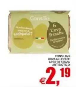 Pewex Consilia 6 uova allevate aperto senza antibiotico offerta