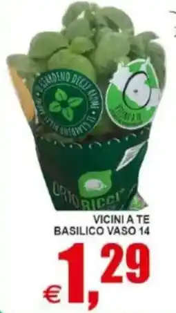 Pewex Vicini a te basilico vaso 14 offerta