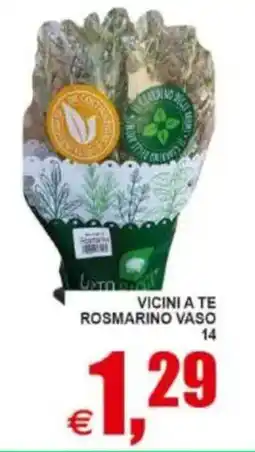 Pewex Vicini a te rosmarino vaso 14 offerta