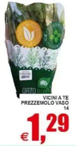 Pewex Vicini a te prezzemolo vaso 14 offerta