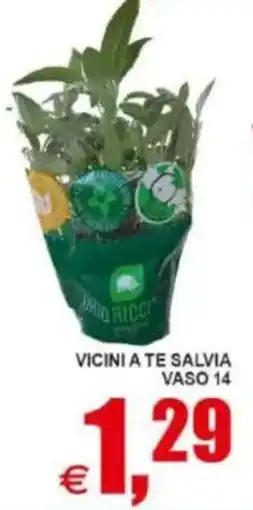 Pewex Vicini a te salvia vaso 14 offerta