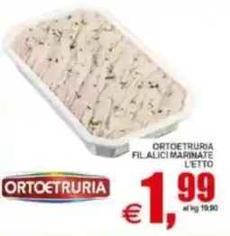 Pewex Ortoetruria fil. alici marinate offerta